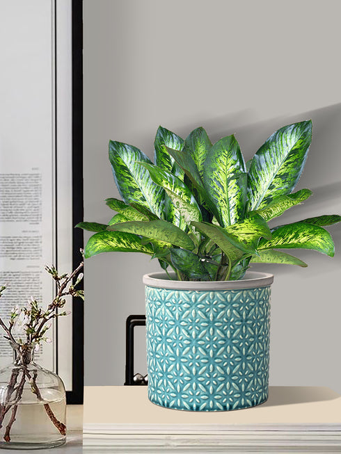 Ceramic Plant Holder Embossed Design