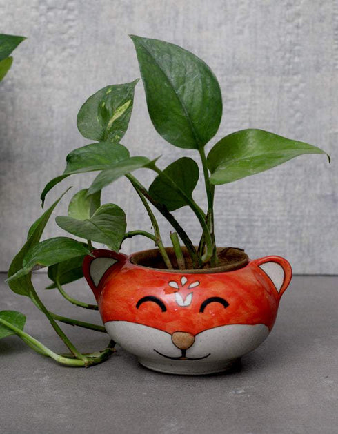 B.P Cat- Planter