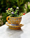 Blue Pottery cup & saucer Corner Planter