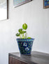 Blue Base Floral Design Planter 7 Str.