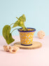 Blue Pottery Handmade Planter 4 Inches