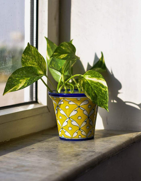 Blue Pottery Handmade Planter 4 Inches