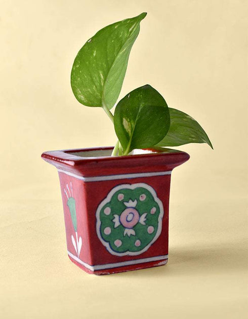 Blue Pottery Square Planter 7.62cm