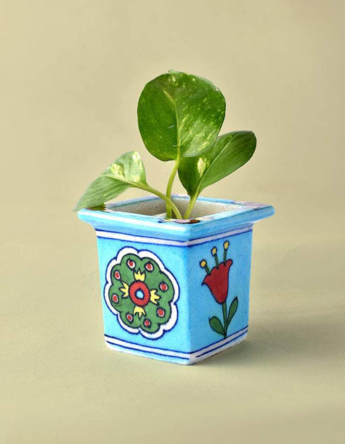 Blue Pottery Square Planter 7.62cm