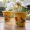 Blue Pottery Round Planter Set of 2Pcs.