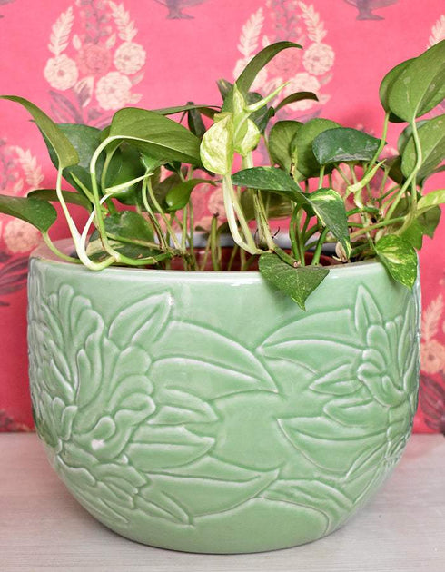 Ceramic Plant Holder Green Base With Embossed Floral Design