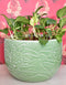 Ceramic Plant Holder Green Base With Embossed Floral Design
